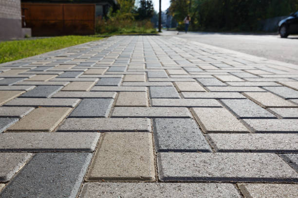Best Brick Driveway Pavers  in Odessa, FL