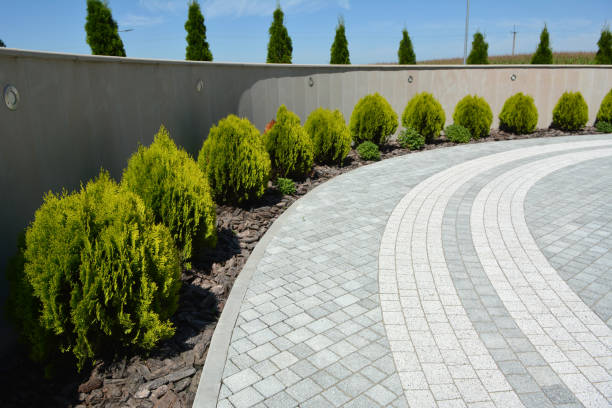Reasons to Select Us for Your Driveway Paving Requirements in Odessa, FL